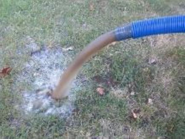 professional carpet cleaning services