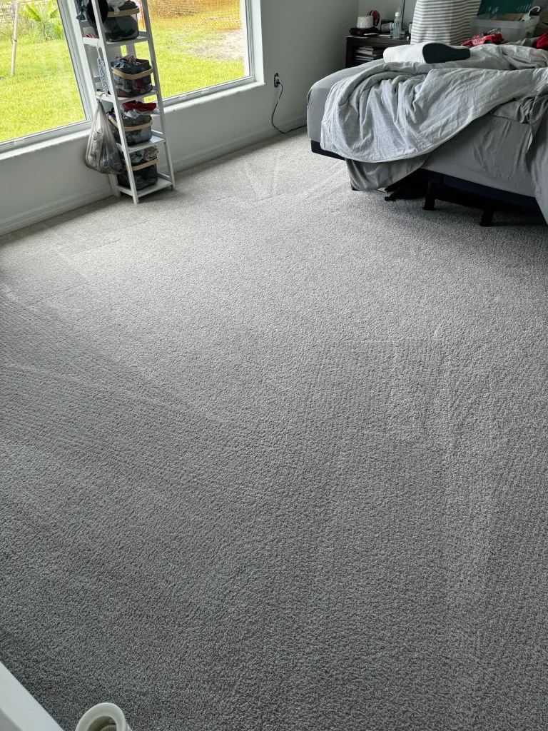 carpet cleaning services